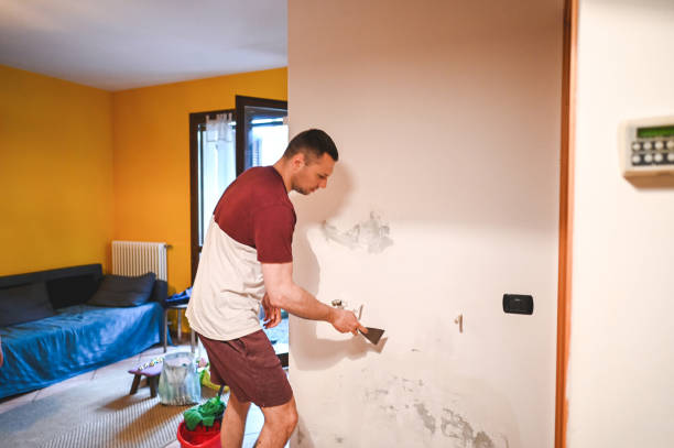 Best Commercial Mold Remediation in Essex Fells, NJ